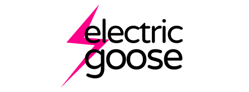 Electric Goose